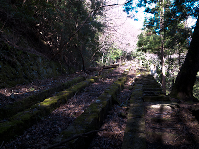 20120320_5_